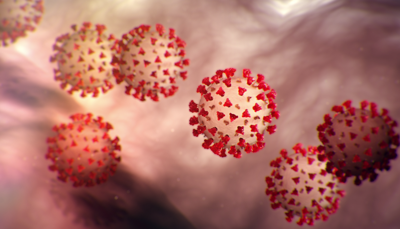 NOTE: The FeaturedImage and publishedDate have been disabled in preview mode as their implementation will change in the upcoming builds and are in unfinished state as of now.